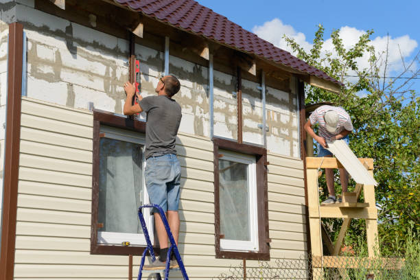 Best Siding Painting and Refinishing  in Cheboygan, MI