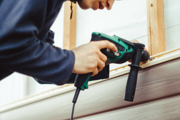 Best Historical Building Siding Restoration  in Cheboygan, MI